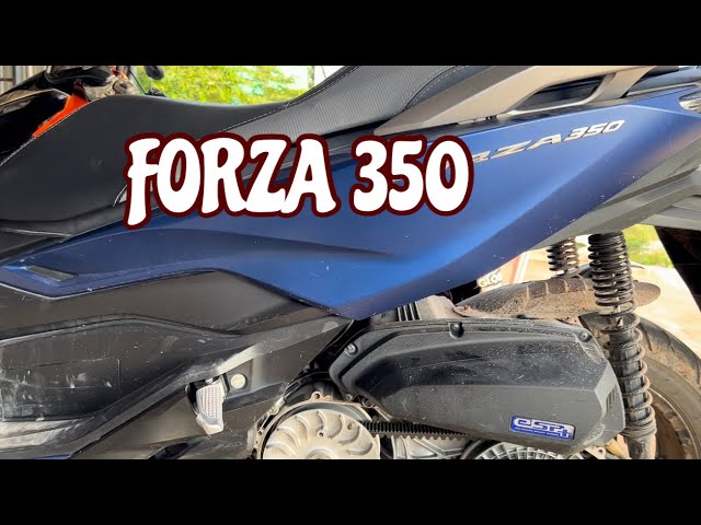 Honda Forza 350  A EICMA 2022 il lifting leggero del BESTSELLER giapponese  