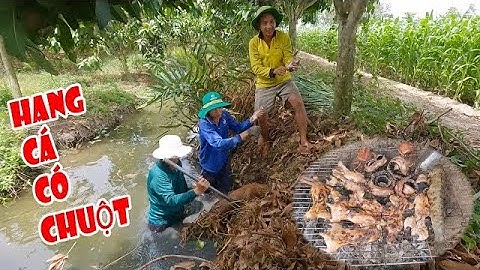 Phát hiện chuột chạy vô hang, đào ra bất ngờ khi gặp thứ bên trong. Cdmt