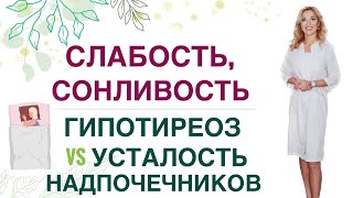 ❤️Слабость, Сонливость Как Найти Причину И Стать Энергичной Врач Эндокринолог Диетолог Ольга Павлова