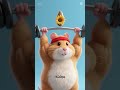 Kereta Hamster untuk maraton saat fajar yang lucu
