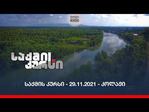 საქმის კურსი - 29.11.2021 - კოლაჟი