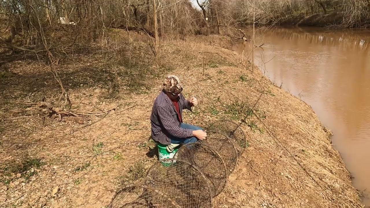 Net repair Serene Style