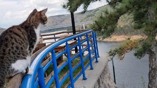 Cüda Düştüm Ellerinden / Çubuk Bi̇r Baraji Manzarasi Ankara