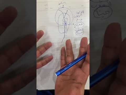 تاريخ الشرق الأدنى القديم تاريخ مصر القديمة