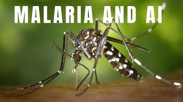 Fighting Malaria with AI
