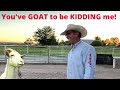 ROPING GOATS | RODEO REED