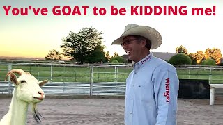 ROPING GOATS | RODEO REED