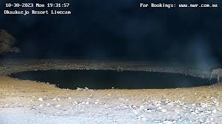 Okaukuejo Resort, Wildlife Waterhole: Live camera stream in the Etosha National Park in Namibia