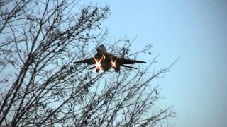 Training Flight With Mig-29S, L-39S And Jas-39S At Lhke, November 2007.