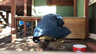 The Boulder Catio Timelapse: Cat Topia by Cat Topia 775 views 4 years ago 1 minute, 53 seconds