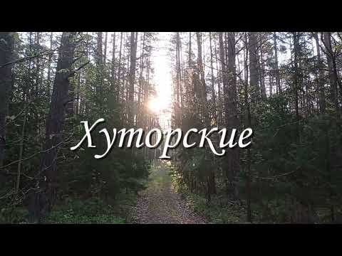 Нашли хутор в лесной глуши возле реки ! №1