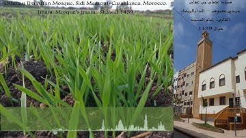 تلاوة ماتعة لإمام مسجد عثمان بن عفان صلاة المغرب - الدارالبيضاء، شوال 1439 | Othman Ibn Affan Mosque
