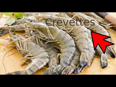 Vidéo: Apéritif Crevettes Et Poisson