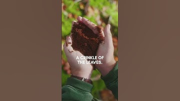 OGO Origin Compost Toilet System