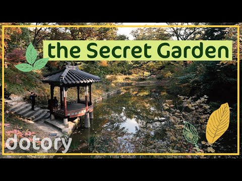 Korea&rsquo;s Secret Garden in Changdeokgung Palace