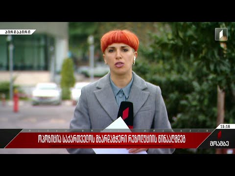 ოპოზიცია საქართველოს მხარდამჭერი რეზოლუციის წინააღმდეგ