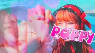 POPPY『なみのりサマー!』PV