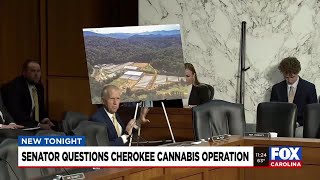 Senator questions Cherokee cannabis operation