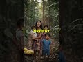 "4 Kids Survived 40 Days in Amazon Jungle: The Miracle Rescue Story"