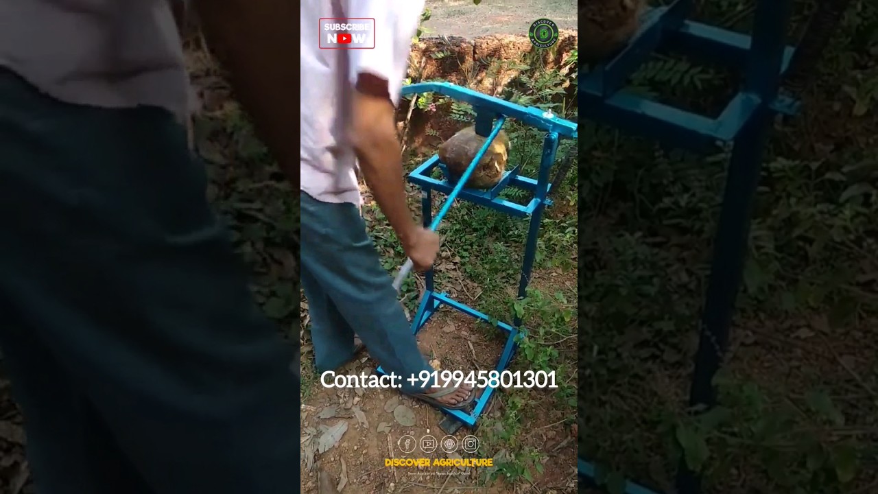 Amazing Coconut Peeling/Dehusking Hand Tool 🔥