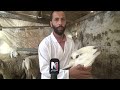 مواصفات الاضحية السليمة حسب الطبيب البيطري