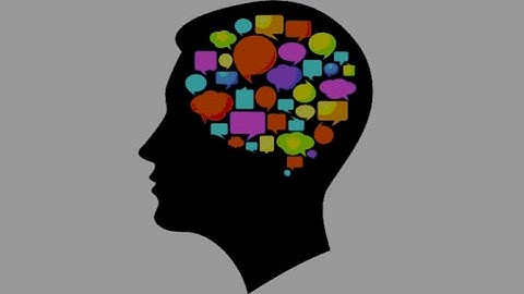 Noam Chomsky - The Capacity for Language