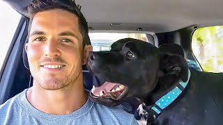 This Shelter Dog’s Voice Changed His Life Forever — The Most Emotional Story You’ll Hear Today