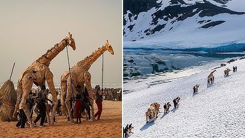 The Herds: Life-sized animal puppets complete epic 20,000km climate crisis journey