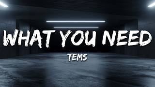 Tems - What You Need (Lyrics)
