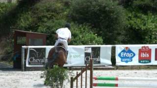 Symphonie De Laume Webstallions.com