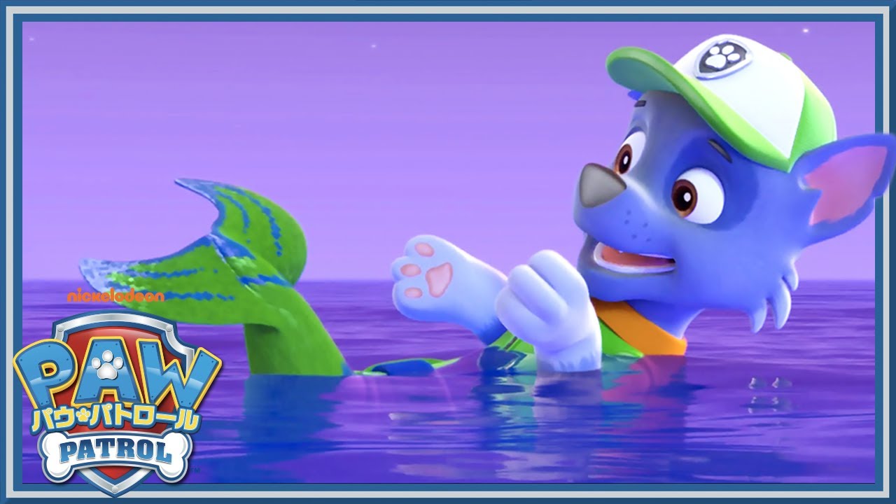 パウパトのロッキーは何でもリサイクル 修理のプロだけど水が大の苦手 パウパト情報局