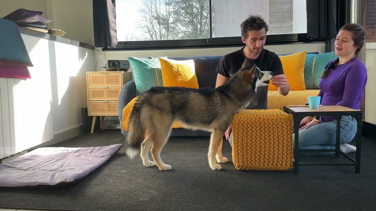 Formation ISCA Muzo+ - Semaine 20 - Analyse coaching