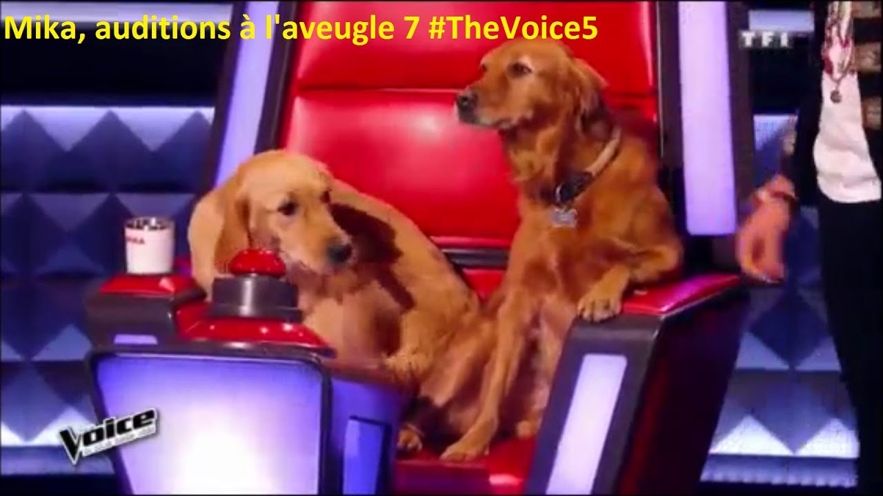 Mika, auditions à l'aveugle 7 #TheVoice5