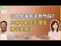 《琴問謙答》賴岳謙 周玉琴  第一百七十六集  以能源不靠海湾国家！中使美只能投弃权票！