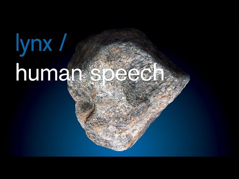 Lynx / Human Speech