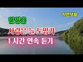 임영웅 사랑은 늘 도망가 1시간 연속 듣기 배워 보기