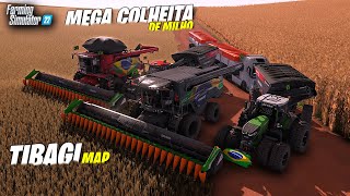 Mega Colheita De Milho│Tibagi Map│Farming Simulator 22 screenshot 5