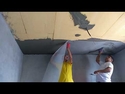 Video: Ce fel de tavan să faci pe hol și ce material este cel mai bun?
