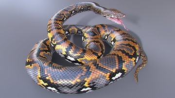 Animated Game Ready Reticulated Python 3d Model