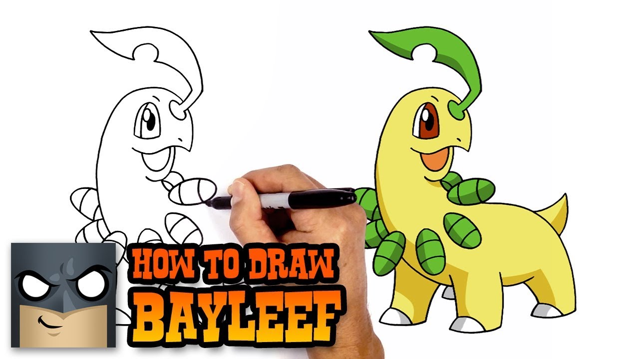 how to draw bayleef pokemon youtube