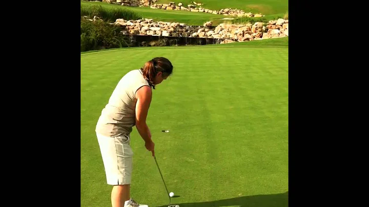 Palmer golf 2010
