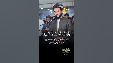 تلاوه رائعه تُذهب عنك الحزن "اليوم نختم على افواههم وتكلمنا ايديهم" #يوسف_عثمان_الكردي