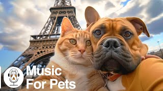 Have the Most Relaxed Cat & Dog! Relaxing Music for Easily Stressed Cat & Dog, Help Cat & Dog Sleep! by For Your Pets 430 views 8 days ago 12 hours
