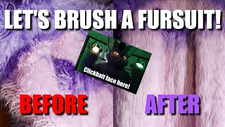 Let's brush a fursuit!