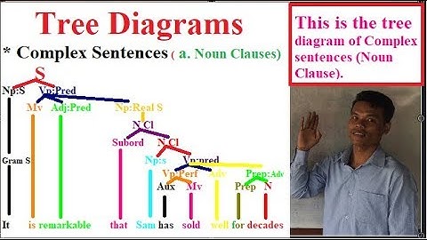 Learning English Grammars: Tree Diagrams (Part 7)