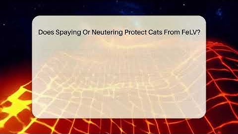 Does Spaying Or Neutering Protect Cats From FeLV? - Happy Cat Handbook