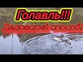 Охота на голавля!!! Дедовский способ!!!