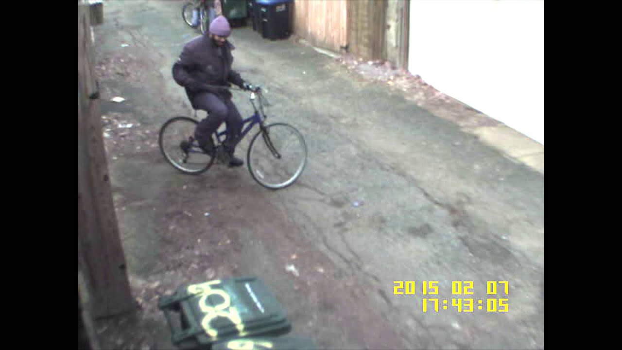 Persons of Interest in Theft II, 200 b/o Warren St, NE, on February 7, 2015 videos for cats