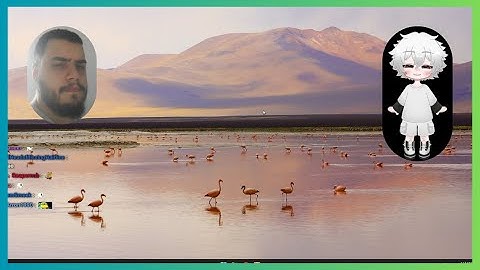 4Head calls out Poe on his voice but gets cooked instead | NoPixel 4.0 GTA RP | RP Clips Hub