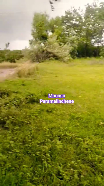 manasu parimalinchene maneshi parimalinchene nava Vasantha ragamlo manasu parivasenchene